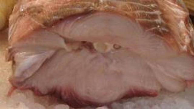 ΠΡΟΣΟΧΗ: Ανιχνεύθηκε υδράργυρος σε κατεψυγμένο γαλέο