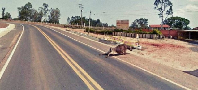 Σοκαρίστηκες φωτογραφίες κατέγραψαν οι κάμερες της Google Street View