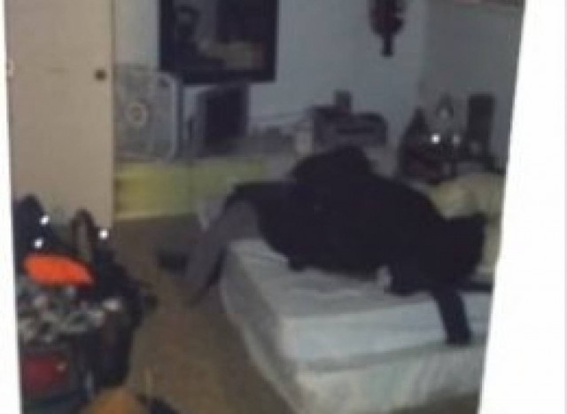 Έμειναν άφωνοι όταν πήγαν στο «στοιχειωμένο» υπόγειο και βρήκαν...