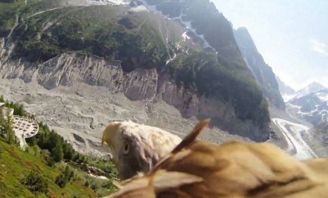 Απίθανο βίντεο: Μία βόλτα... «με τα μάτια» του αετού!