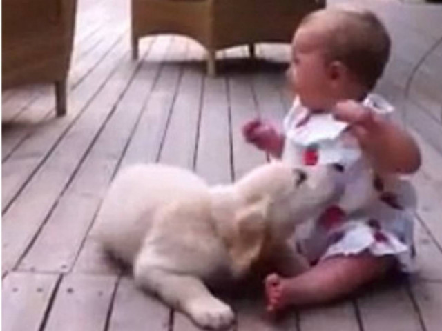 Απίστευτο βίντεο: Ένα κουτάβι συναντά για πρώτη φορά μωρό 8 μηνών