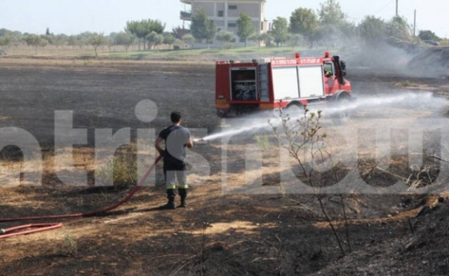 Ηλεία: Έπαθαν σοκ με αυτό που είδαν όταν πήγαν να σβήσουν φωτιά