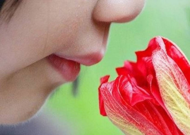 Οι 10 μυρωδιές που αναγνωρίζει ο ανθρώπινος οργανισμός