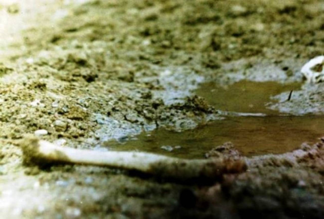 Μακάβριο εύρημα από λουόμενο στην παραλία του Πόρτο Ράφτη