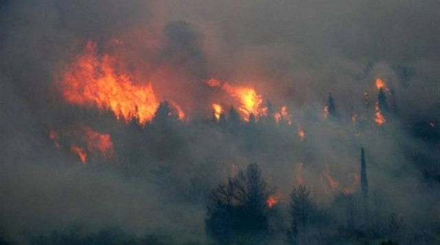 Σε εξέλιξη πυρκαγιά στις Σέρρες