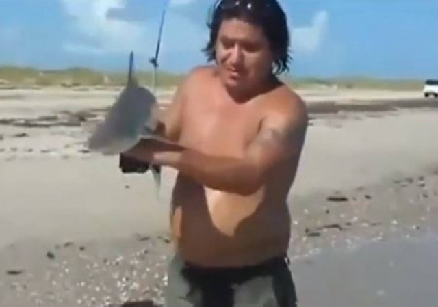 Έπαιζε με καρχαριάκι στην παραλία και τον δάγκωσε