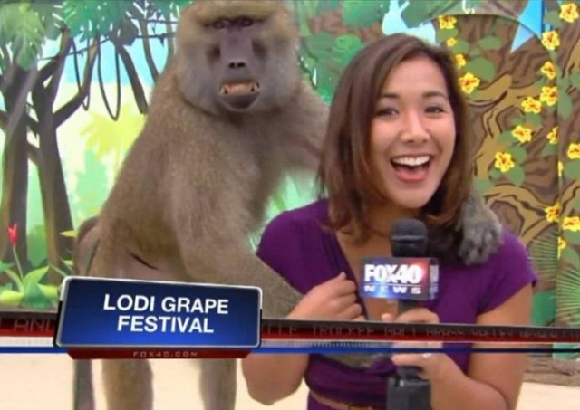 Δείτε τι έπαθε η όμορφη δημοσιογράφος κατά τη διάρκεια του ρεπορτάζ!