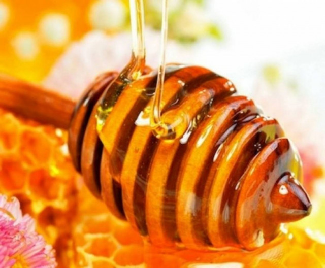Μέλι: Δεν φαντάζεστε τι κάνει στον οργανισμό μας