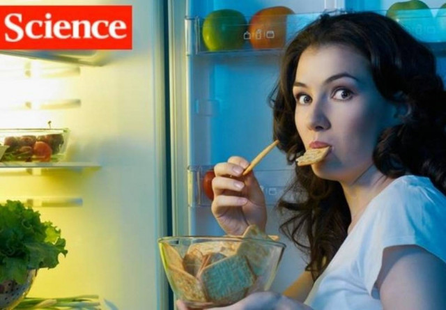 Ανακάλυψαν τον τρόπο ελέγχου της πείνας!