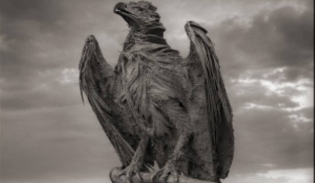 Λίμνη μετατρέπει τα ζώα σε αγάλματα στην Τανζανία (pics)