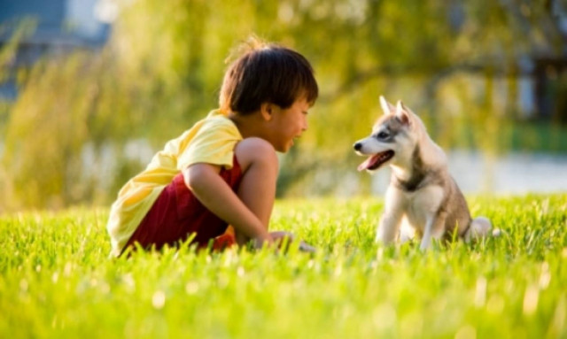 Παιδιά και ζώα! Βασικοί κανόνες για μια ομαλή και όμορφη συνύπαρξη!