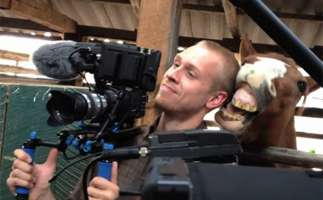 Βίντεο: Άλογο... ερωτεύτηκε cameraman