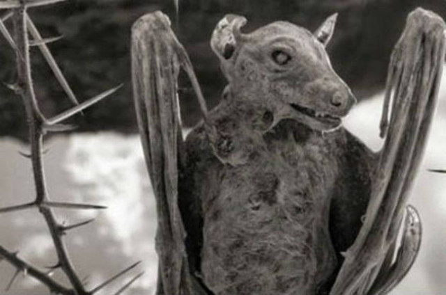 Και όμως υπάρχει: Δείτε τη λίμνη του θανάτου!