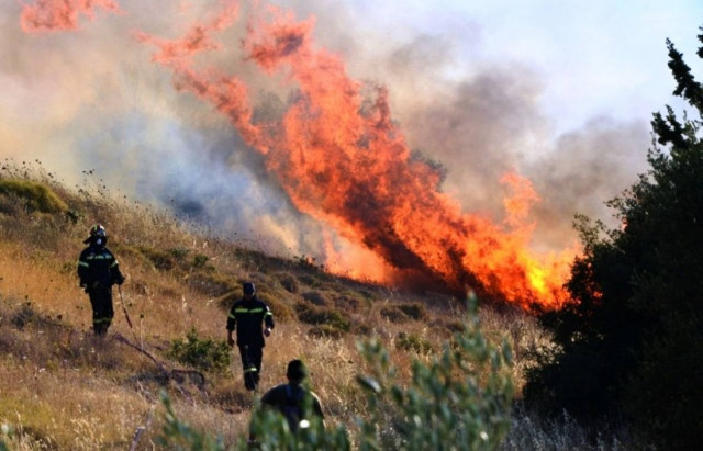 Μεσσηνία: 68χρονος κατηγορείται για 85 πυρκαγιές!