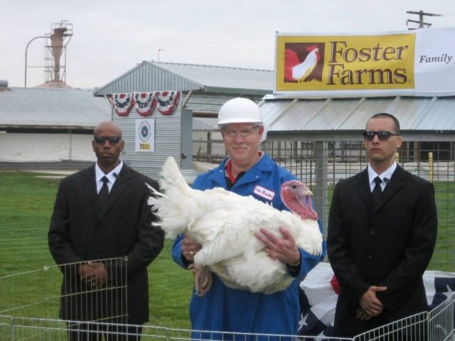 Κινδυνεύουν από σαλμονέλα στις ΗΠΑ!