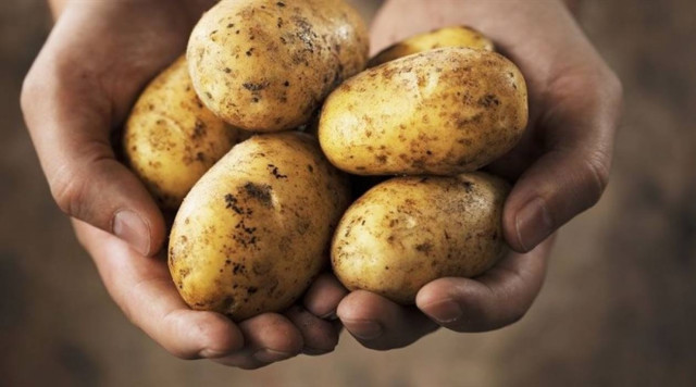 Προϊόντα χωρίς μεσάζοντες στον Κορυδαλλό