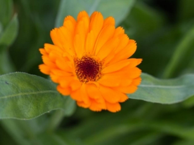 Οι τυχερές και όμορφες στιγμές της ημέρας: Τετάρτη 9 Οκτωβρίου