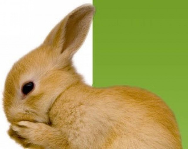 Το ξέρατε; Γιατί λέμε «σε τρώει η μύτη σου, ξύλο θα φας»;