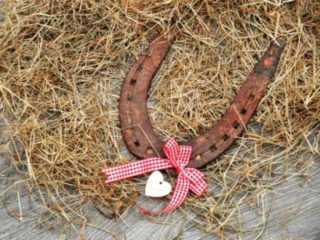 Οι τυχερές και όμορφες στιγμές της ημέρας: Πέμπτη 10 Οκτωβρίου