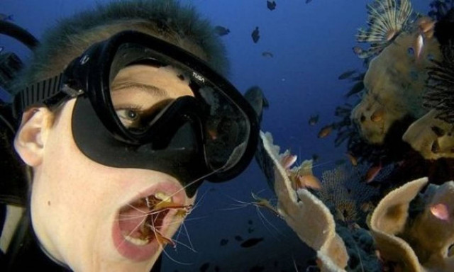 13χρονο αγόρι καθαρίζει τα δόντια του στο βυθό με τη βοήθεια γαρίδων