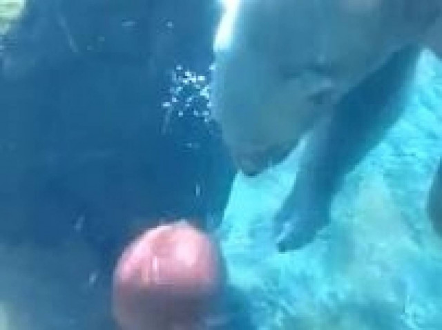 Απίθανο βίντεο με μία αρκούδα που παίζει μπάσκετ στο νερό