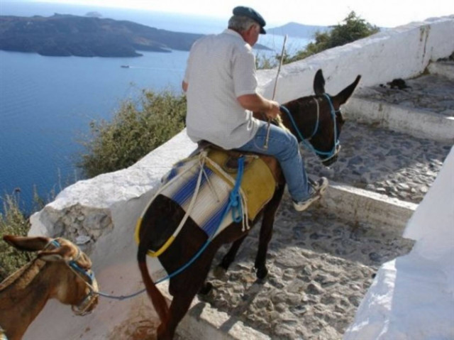 Ντέι γαϊδουράκο μας ντέι: Ακρίβυνε μέχρι και ο «κυρ Μέντιος»!