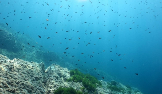 Οι θάλασσες της Άπω Ανατολής αποκαλύπτουν τα μυστικά τους