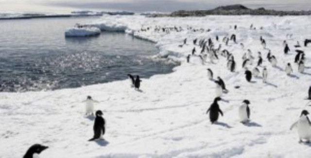 ΗΠΑ: Θύμα του λουκέτου και το ερευνητικό πρόγραμμα Ανταρκτικής