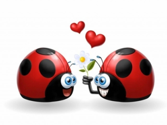 Οι τυχερές και όμορφες στιγμές της ημέρας: Σάββατο 12 Οκτωβρίου