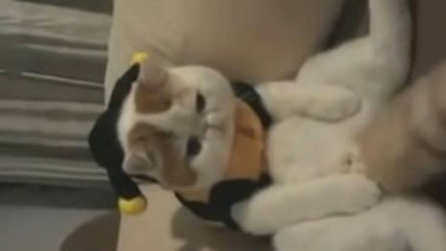 Βίντεο!Είναι Κινέζα και σαρώνει τα κοινωνικά δίκτυα