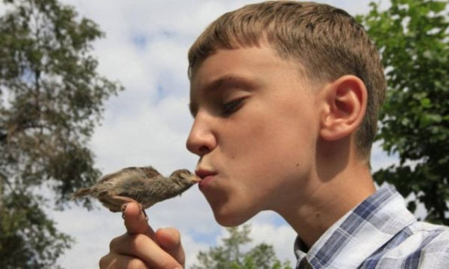 Η σπάνια φιλία ενός 12χρονου αγοριού με ένα σπουργίτι! (φωτογραφίες)