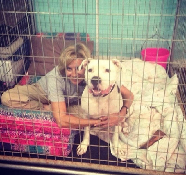 48 ώρες κλεισμένη σε κλουβί με ένα πιτ μπουλ!