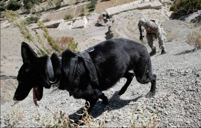 Στρατιωτικές ασκήσεις στα Υψώματα του Γκολάν στο Ισραήλ