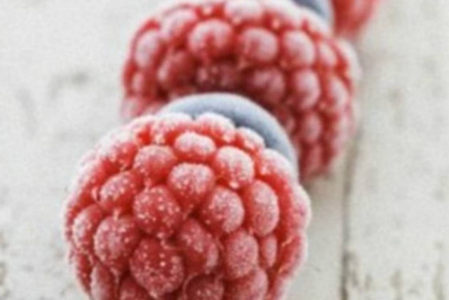 Κατεψυγμένα Vs Φρέσκων φαγητών σημειώσατε 1