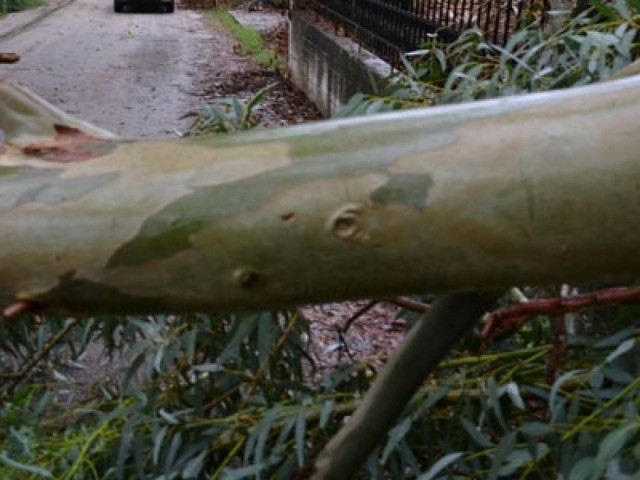 Πρέβεζα: Ένα λάθος παραλίγο να της στοιχίσει τη ζωή...