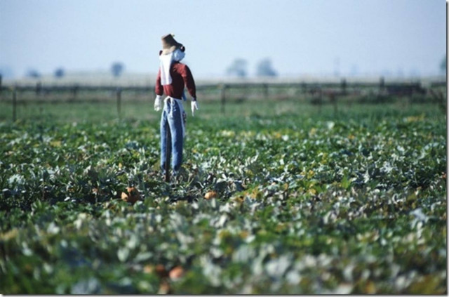 Προνομιακή υποστήριξη για νέους αγρότες
