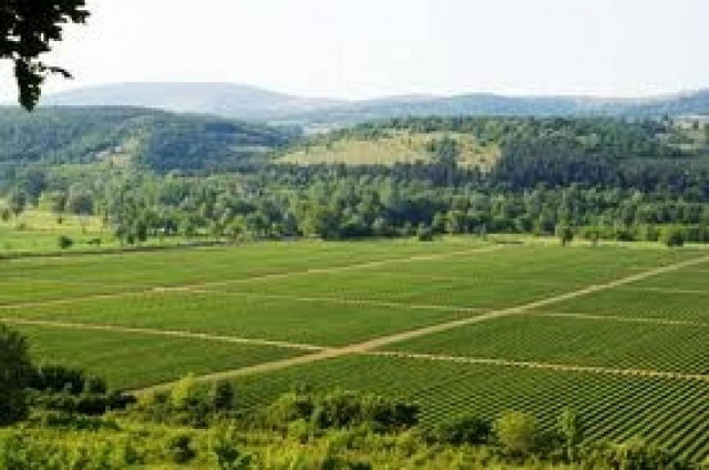 Το 10% των αγροτικών προϊόντων είναι Προστατευόμενης Ονομασίας