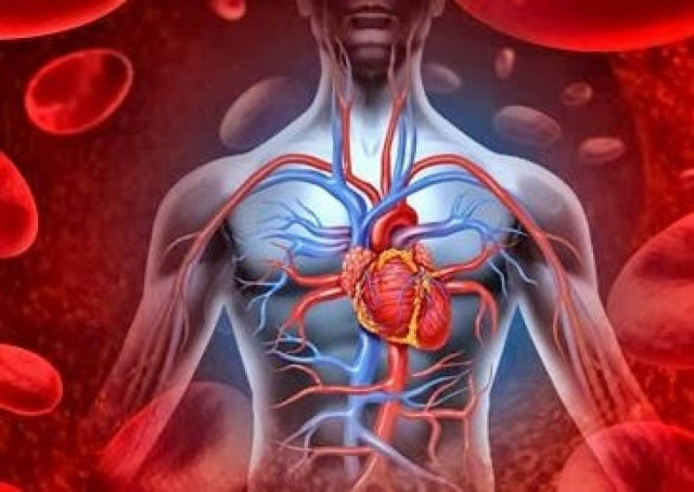 Διαβάστε 31 περίεργες πληροφορίες για το ανθρώπινο σώμα