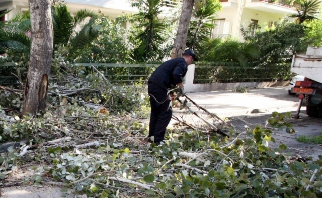 Θεσσαλονίκη: Πτώσεις δέντρων λόγω ισχυρών ανέμων
