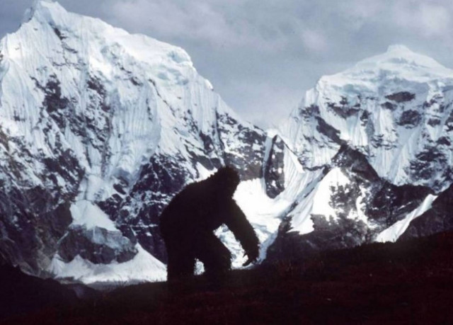 Επιστήμονες έλυσαν το μυστήριο του μυθικού τέρατος Γέτι!