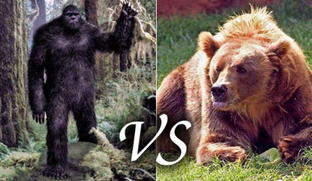 Απίστευτο! Χιονάνθρωπος - σπάνιο είδος αρκούδας!