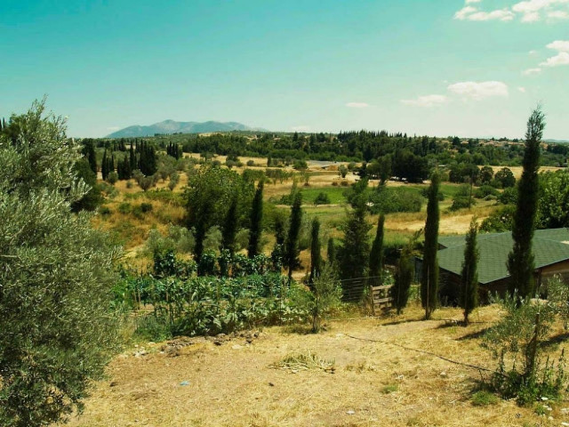 Πέλλα: Δεν φαντάζεστε τι έκλεψε 49χρονος από αγρόκτημα