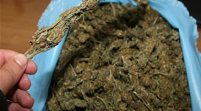 Σύλληψη τριών Ελλήνων σε αποθήκη στο Αγρίνιο για κατοχή χασίς