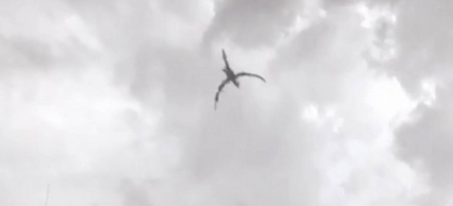 Σάλο προκαλεί στο YouTube βίντεο με έναν... δράκο!