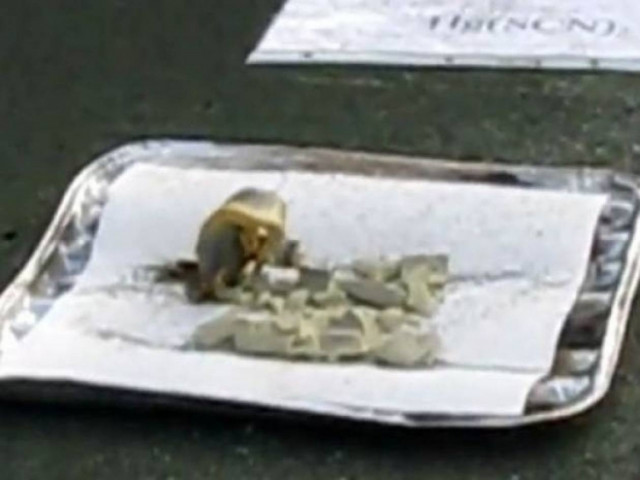 Video: Το φίδι του Φαραώ...Μαγεία ή επιστήμη;