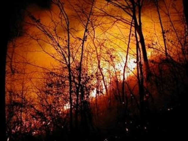 Κάηκε δάσος στο Ρέθυμνο