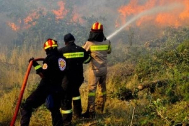 Φωτιά στο Αχλαδοχώρι Τρικάλων