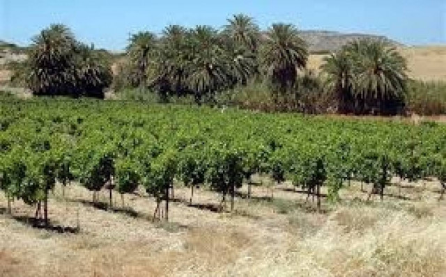 Αποζημιώσεις σε 399 παραγωγούς από τον ΕΛΓΑ