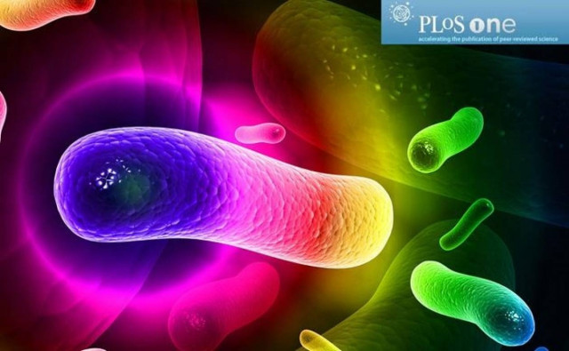 Το στόμα έχει το δικό του "δακτυλικό" αποτύπωμα