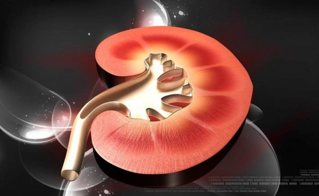 Προσωπαγνωσία: Συναντώντας γνωστούς... αγνώστους